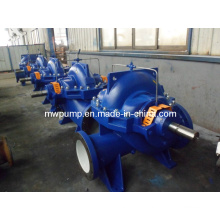 Double Suction Axial Shaft Pump